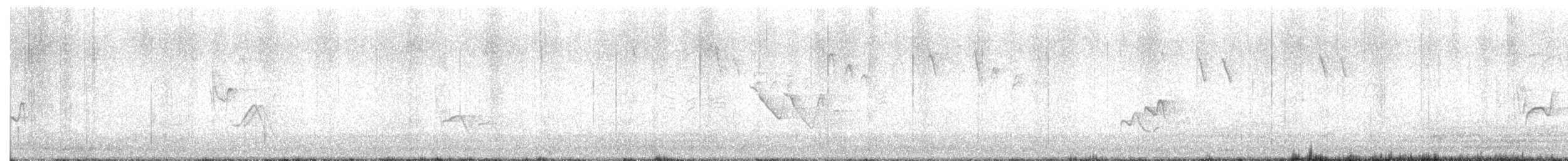 Vireo Solitario - ML644387185