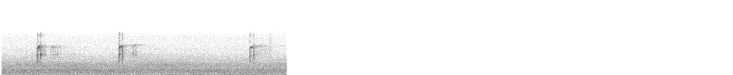 Hairy Woodpecker - ML644387221