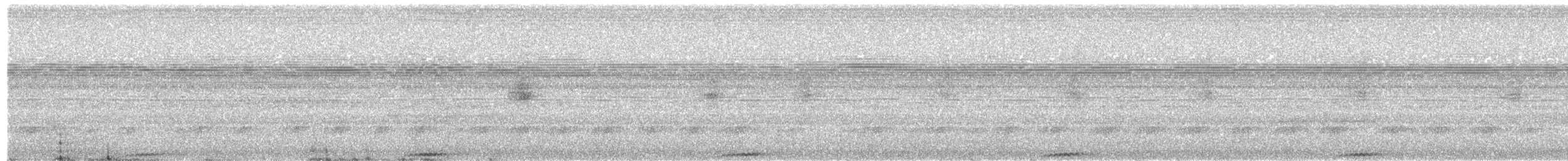 Búho Corniblanco - ML644387469