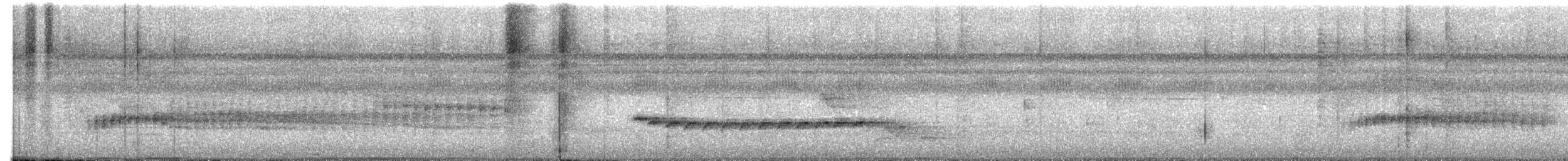 Long-billed Gnatwren - ML644388261