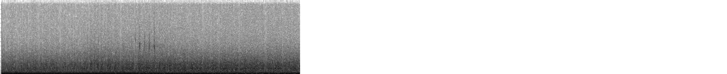 Подорожник лапландський - ML644388915