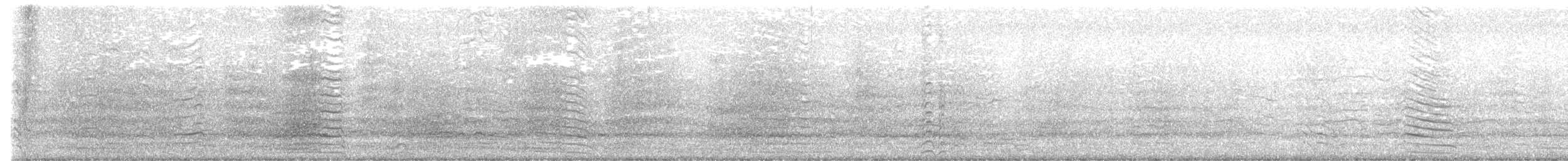 Cacatoès corella - ML644389593