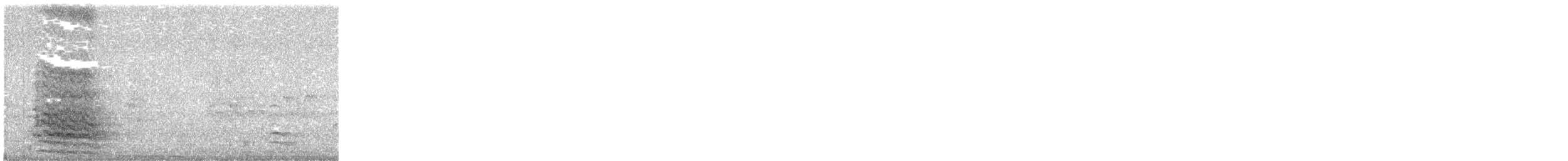 Cacatoès corella - ML644389594