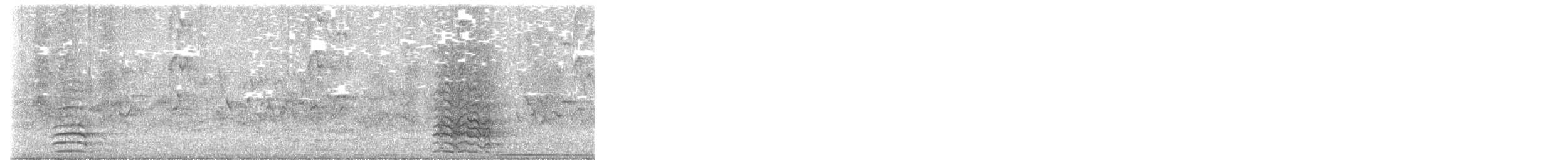 Cacatoès corella - ML644389595