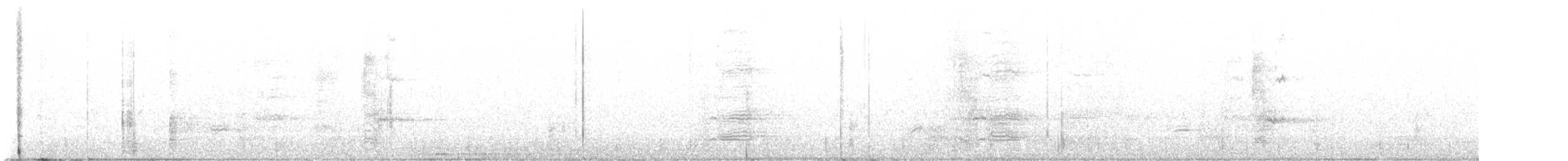 Quiscale bronzé - ML644389686