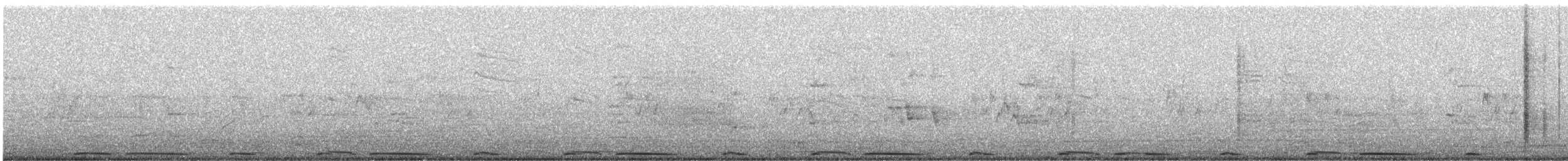 Türkentaube - ML644389937