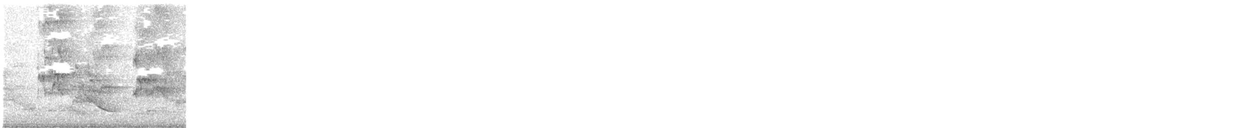 Red-collared Lorikeet - ML644390157