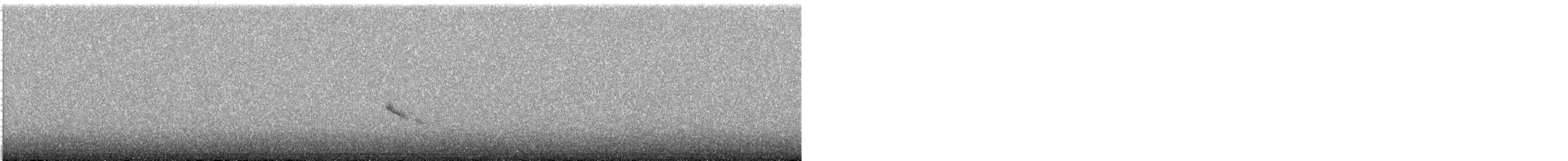 Подорожник лапландський - ML644390250