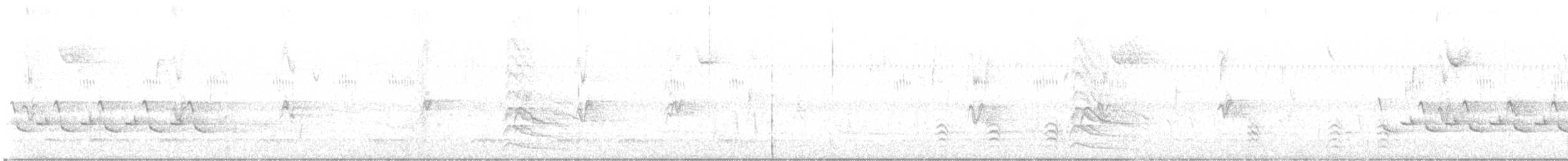 Gelbbauch-Saftlecker - ML644391977