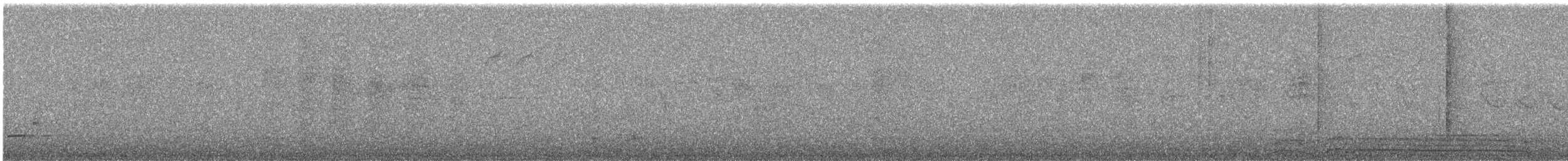 Chestnut-bellied Tit - ML644392604