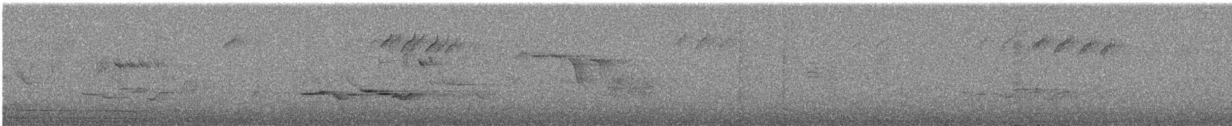 Chestnut-bellied Tit - ML644392632