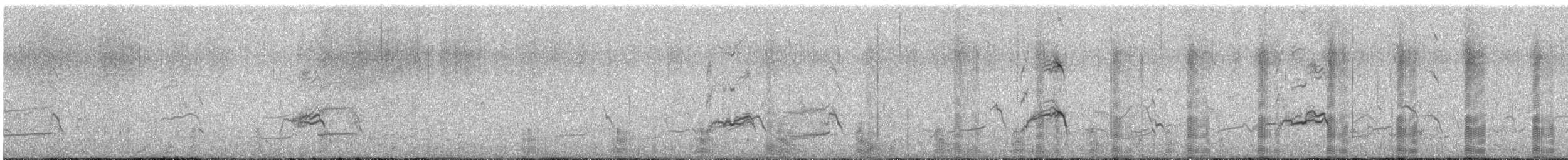 Slate-colored Coot - ML644392781