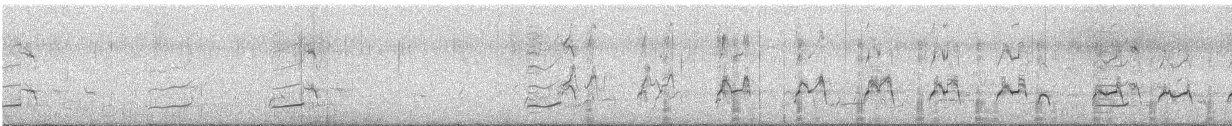 Slate-colored Coot - ML644392782