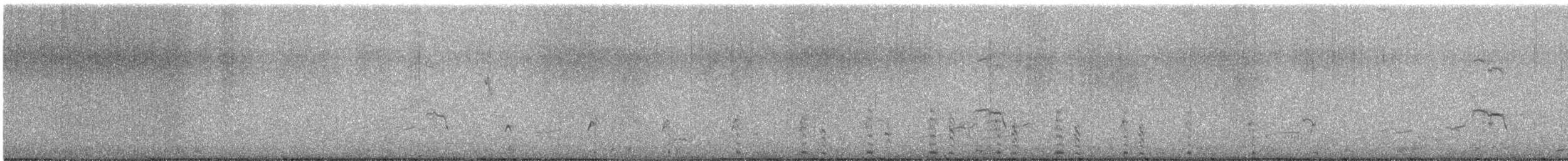 Slate-colored Coot - ML644392783