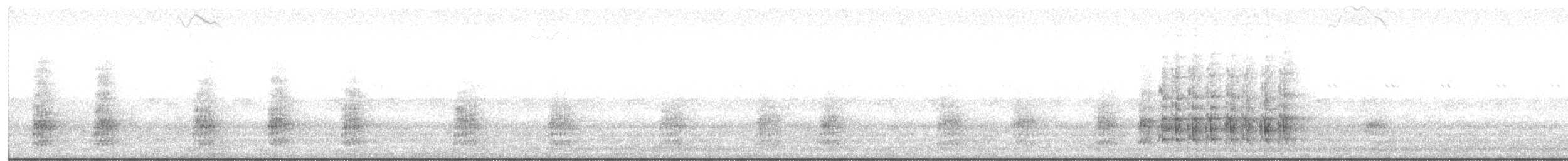 čačalaka obecná - ML644393090