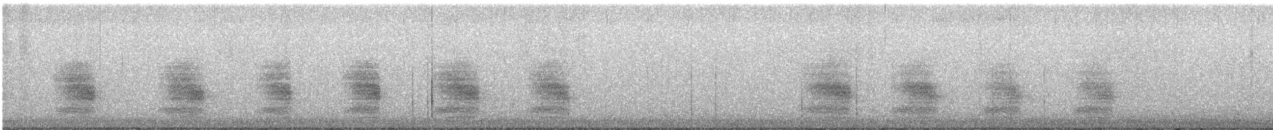 Geai de Steller (groupe diademata) - ML644393423