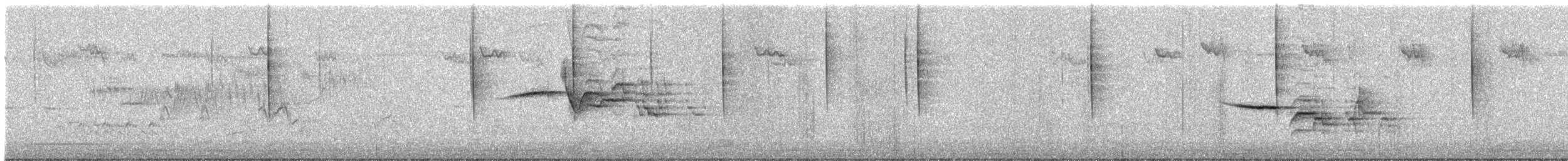 Hermit Thrush - ML644393494