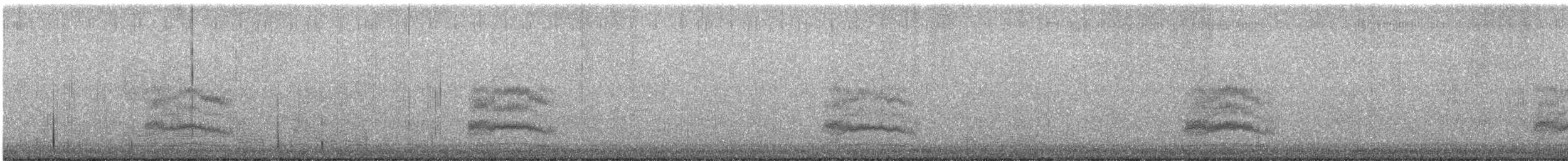 Tohi tacheté - ML644393497