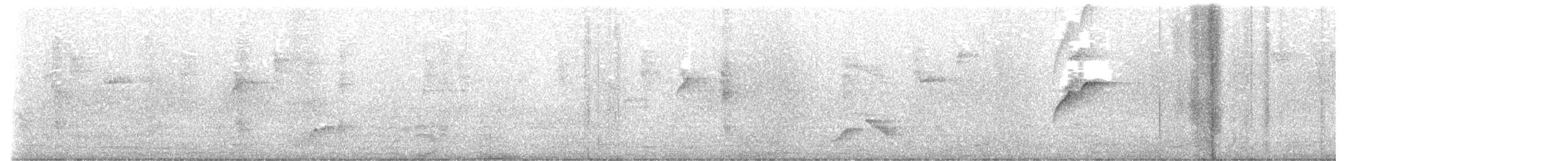 Western Flycatcher - ML644394366