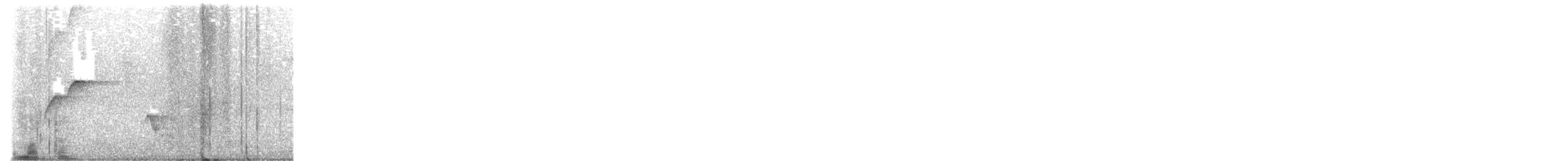 Western Flycatcher - ML644394398