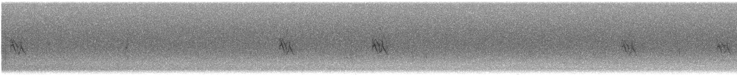 Pine Siskin - ML644394597