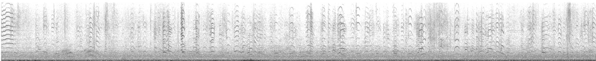 小加拿大雁 - ML644394694