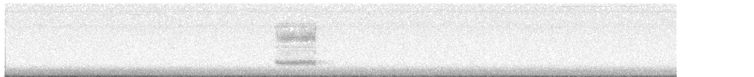 American Barn Owl - ML644394893