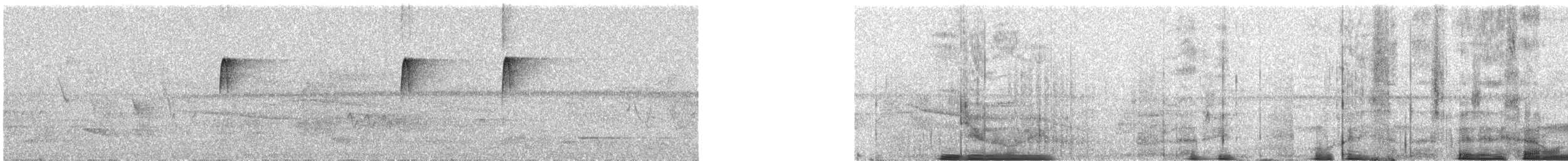 bladflatnebb - ML644394990