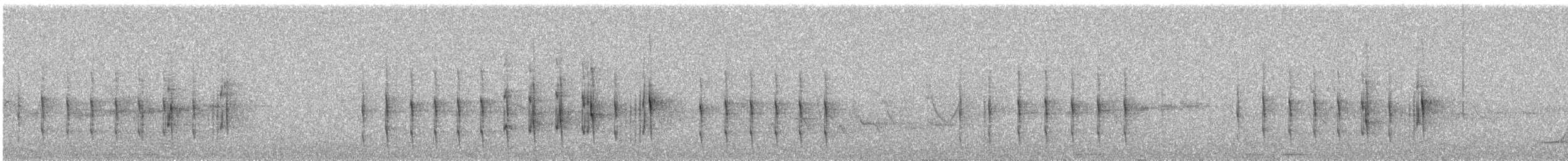 rustfjespygmétyrann - ML644395027