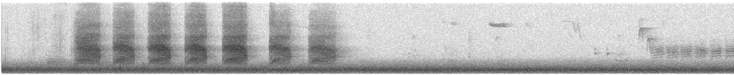 Steller's Jay - ML644395069