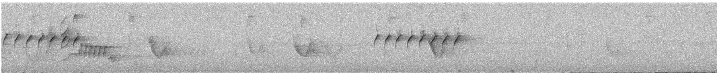 Weißbrauen-Mückenfänger - ML644395134