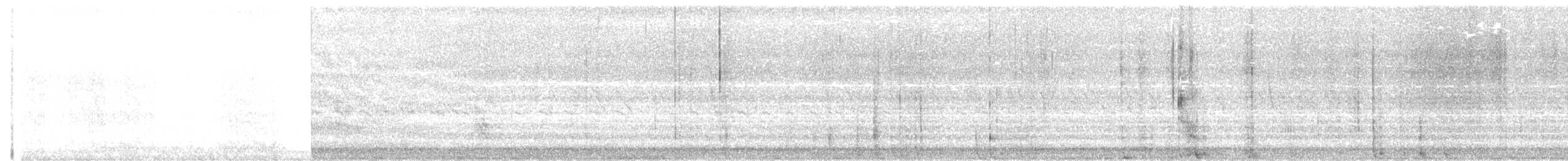 Búho Campestre (Norteño) - ML644395311