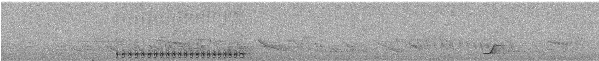 Collared Antshrike - ML644395512