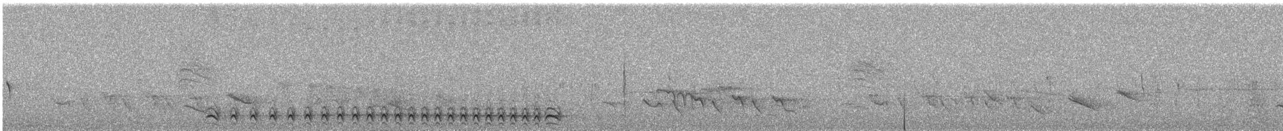 Collared Antshrike - ML644395530