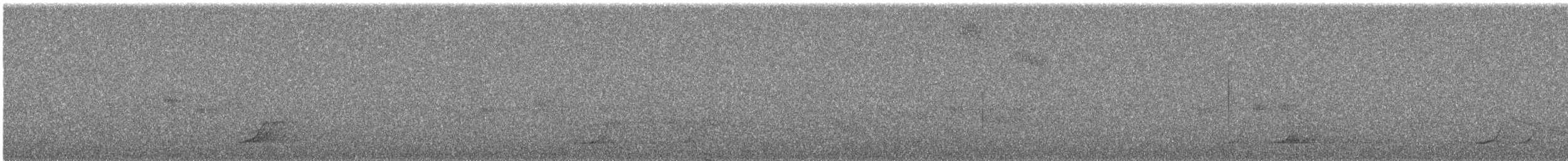 Pale-browed Tinamou - ML644395552