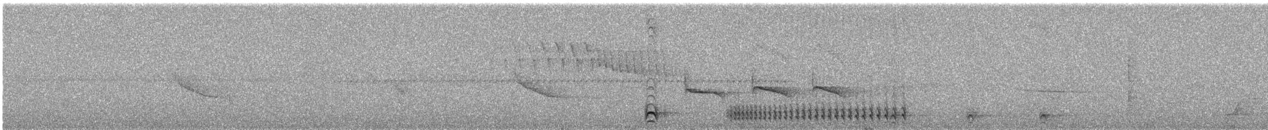 Collared Antshrike - ML644395569