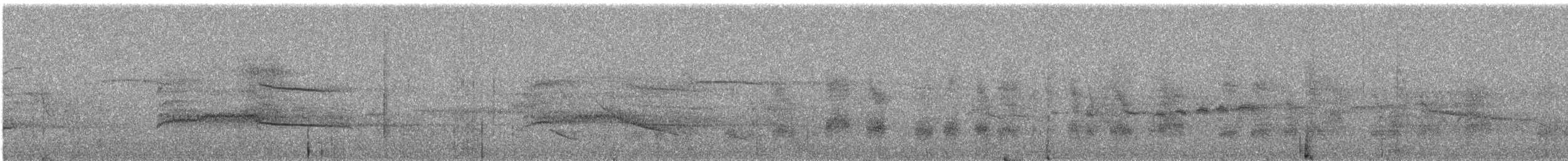 Gray-backed Hawk - ML644395619