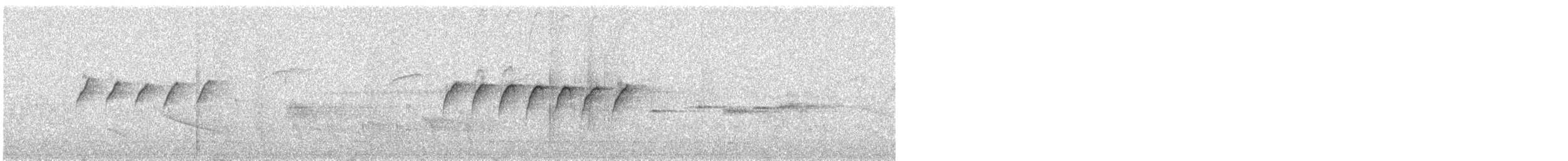 White-browed Gnatcatcher - ML644395679