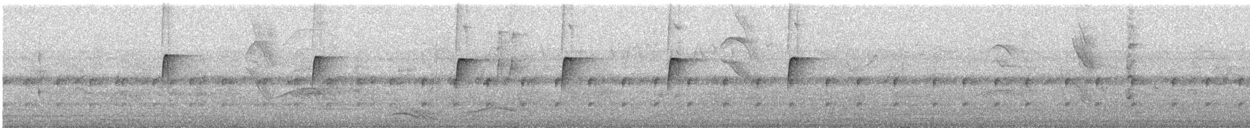 Spotted Tody-Flycatcher - ML644395824