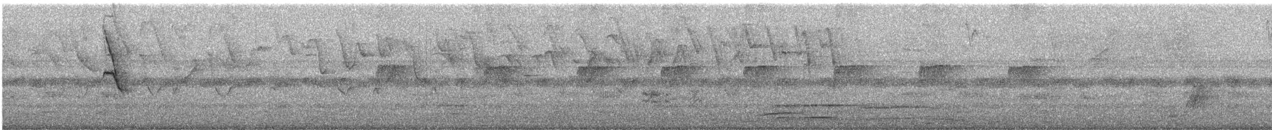 Chestnut-bellied Seedeater - ML644395832