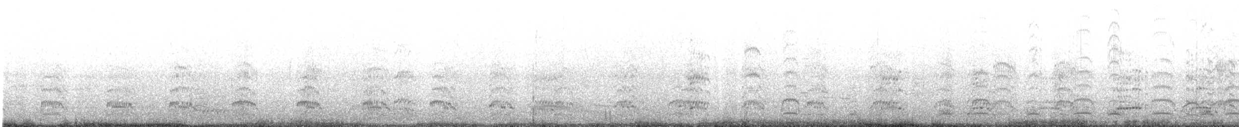 Andean Gull - ML644395914