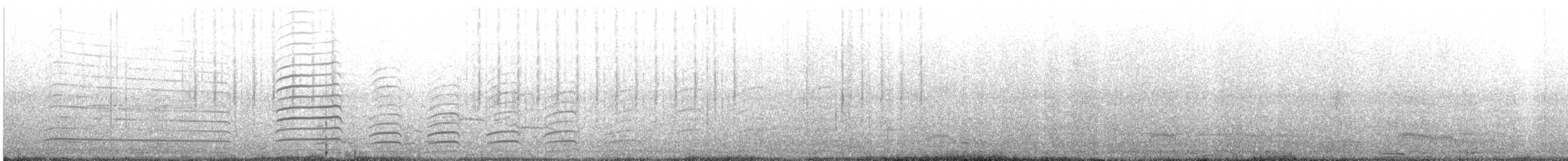 Belcher's Gull - ML644395919