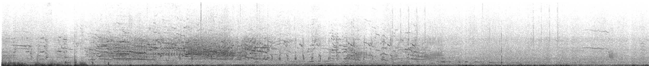 Kelp Gull - ML644395933