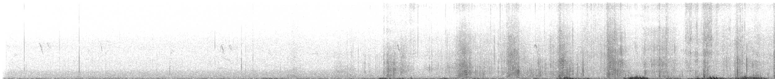 Black Phoebe - ML644396387