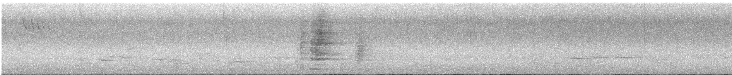 Yellow Wattlebird - ML644397158