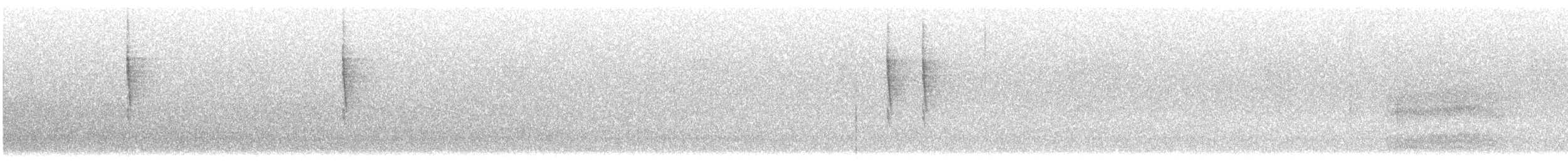 Pacific Wren - ML644397711