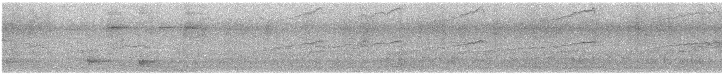 Zebra Dove - ML644397895