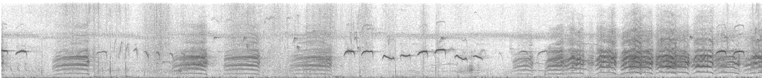 Yellow-collared Macaw - ML644397904