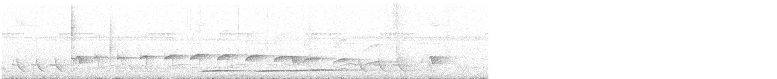 Dull-capped Attila - ML644397906