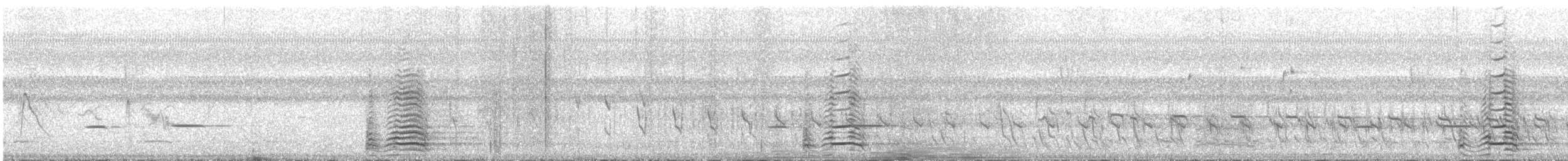 Striped Cuckoo - ML644398041